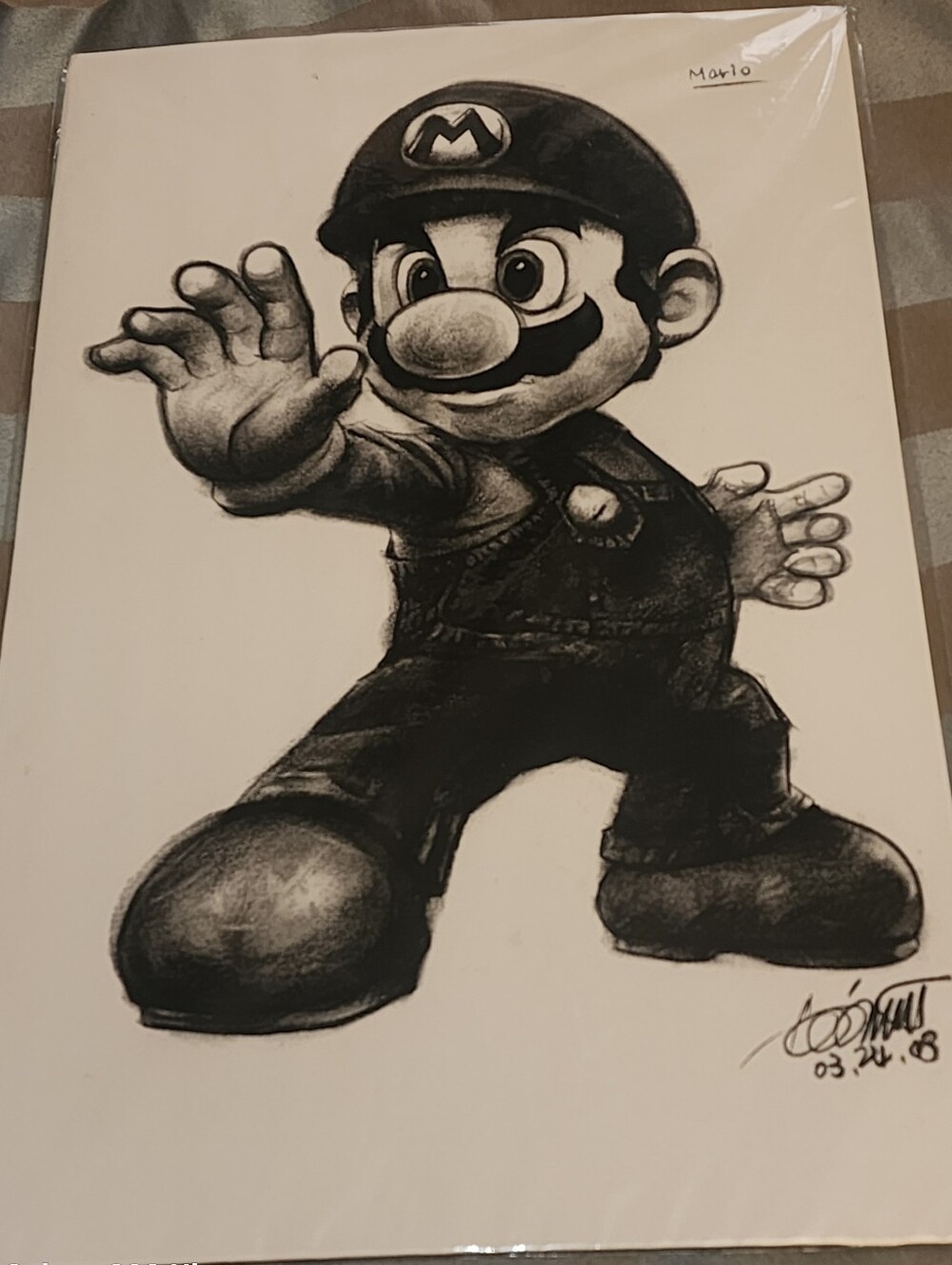 Autographed SUPER MARIO BROS BRAWL Art, Mario/Luigi Voice Actor Charles Martinet